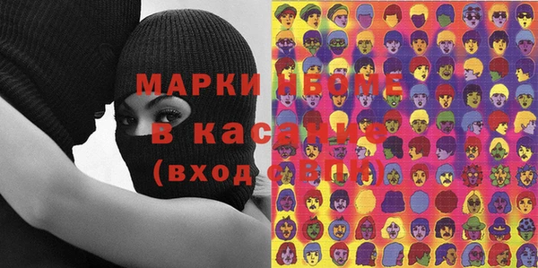 прущие грибы Чердынь