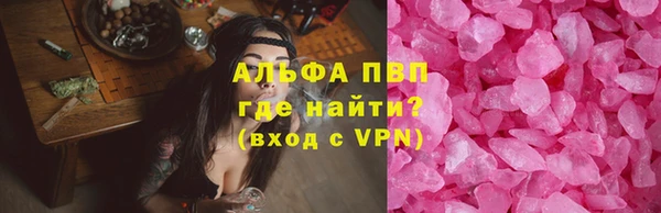 гидра Чекалин