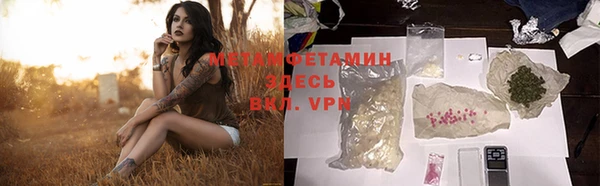 прущие грибы Чердынь