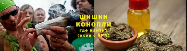 гидра Чекалин