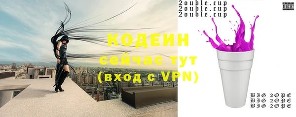 МДПВ Очёр