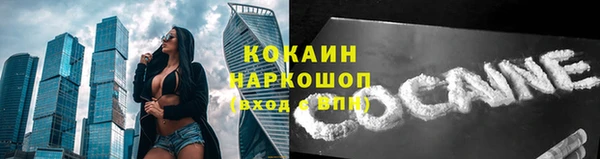 прущие грибы Чердынь