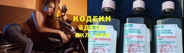 гидра Чекалин