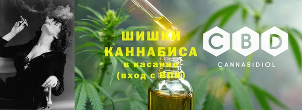 гидра Чекалин