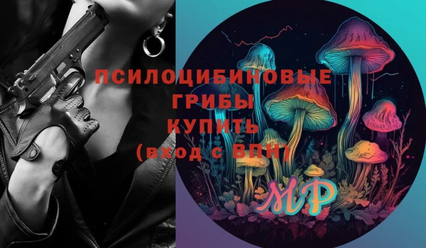 гидра Чекалин