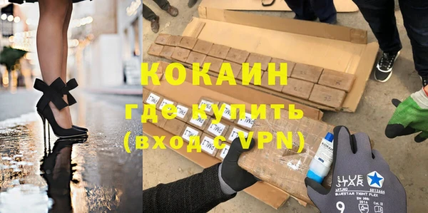 прущие грибы Чердынь