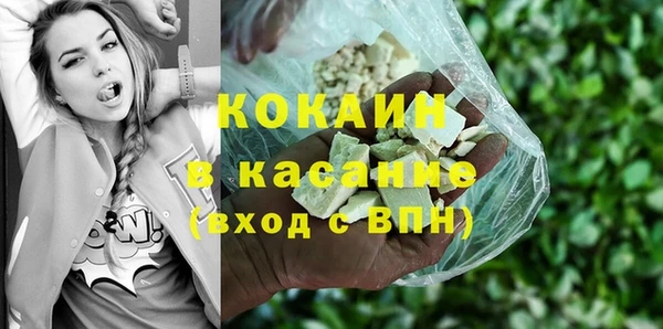 прущие грибы Чердынь