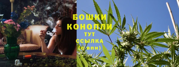 гидра Чекалин